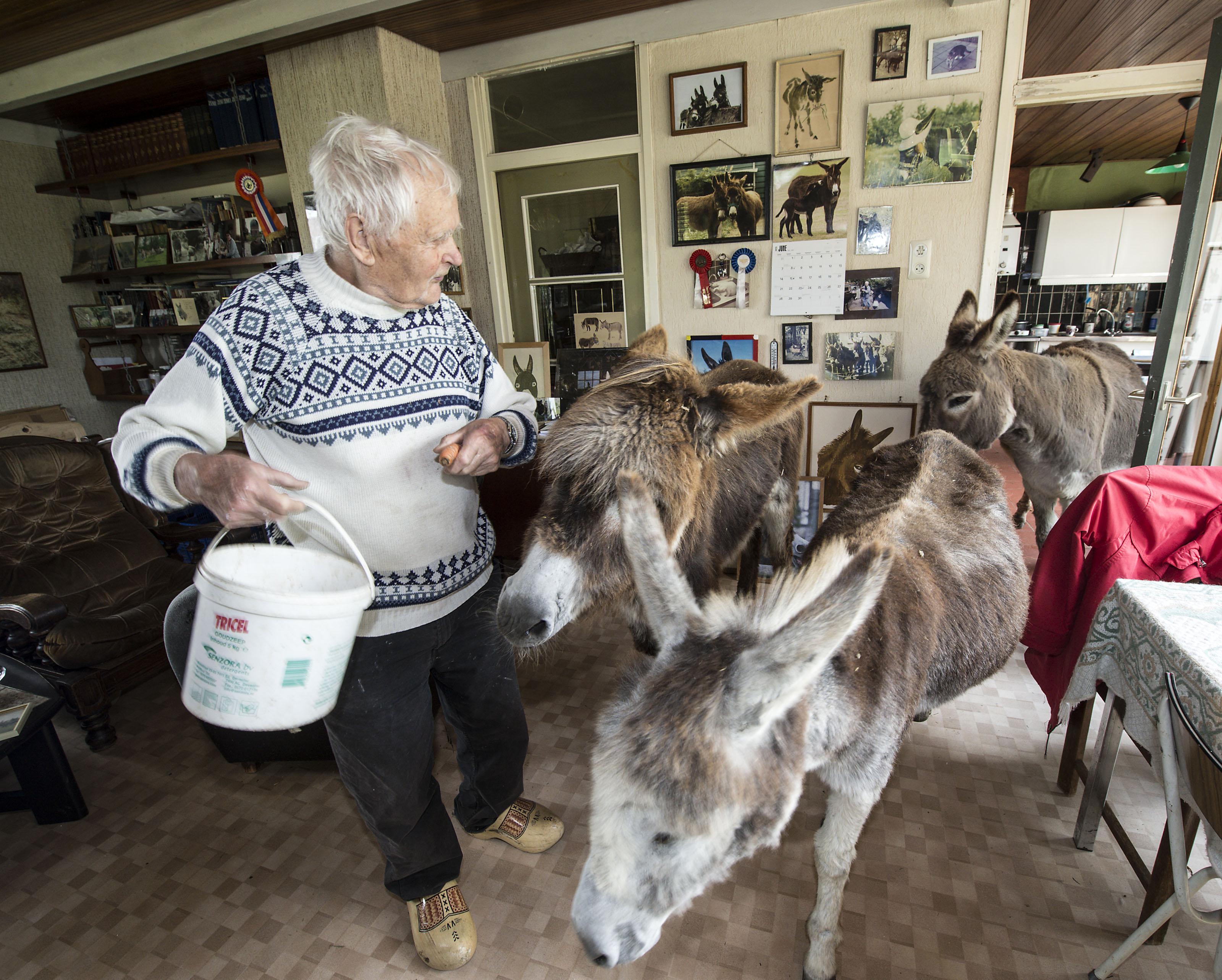 ’Ezeltjesman’ Jo Laan (96) uit Zuidoostbeemster overleden: ’Je moet nooit achter een paard langs lop